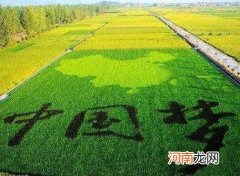 中国近代三次大饥荒有多惨烈 三年大饥荒是哪三年