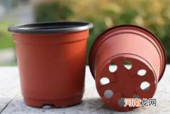 盆栽养护注意事项 花盆底部的小洞有什么用