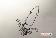 乌贼摆脱追捕的方法 乌贼是怎么保护自己的