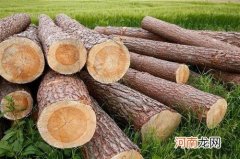 木头不导电的原理介绍 木头为什么不导电