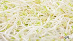 绿色的豆芽叫什么 绿色的豆芽是什么