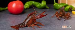 小龙虾怎么保存 怎么保存小龙虾