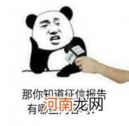 个人银行征信报告 银行征信报告