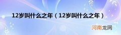 12岁叫什么之年 12岁叫什么之年