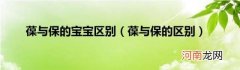 葆与保的区别 葆与保的宝宝区别