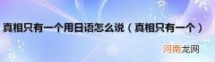 真相只有一个 真相只有一个用日语怎么说