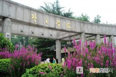 外交学院就业前景与待遇-外交学院好就业吗？