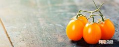 黄颜色的圣女果叫什么 黄色的圣女果叫什么名字