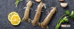 虾会脱壳吗 虾会不会脱壳