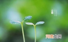 立春创意文案