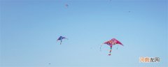 风筝的发源地 风筝是哪个国家发明的
