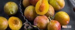 西梅是什么季节的水果 西梅是哪个季节的水果