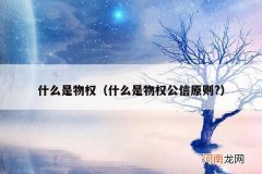 什么是物权公信原则? 什么是物权