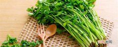 香菜怎样储存过冬 香菜储存过冬方法