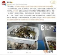 宁波8家“胖哥俩”肉蟹煲检查结果：地方店未发现媒体曝光的问题