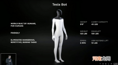 特斯拉将于明年发布人形机器人原型机：定位处理琐碎家务