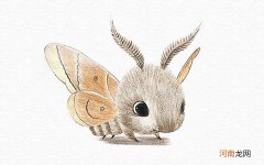 飞蛾的画法彩铅画