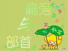 偏旁和部首的概念 小学偏旁和部首的区别