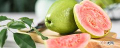 番石榴是什么季节的水果 番石榴是哪个季节的水果
