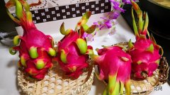 红心火龙果好还是白心火龙果好 红心火龙果和白心火龙果的区别