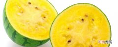 西瓜的特点 西瓜的特点有哪些