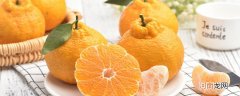 像橘子又像橙子的水果叫什么 有点像橙子的水果叫什么
