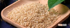 糙米是什么米 什么样的米是糙米