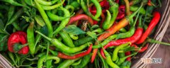 辣椒属于热性还是凉性 辣椒的属性