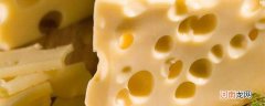 芝士是什么 芝士是什么东西