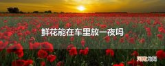 鲜花能在车里放一夜吗
