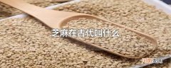 芝麻在古代叫什么