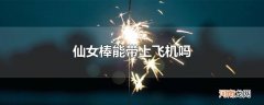 仙女棒能带上飞机吗