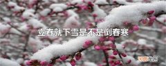 立春就下雪是不是倒春寒