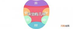 味觉有几种