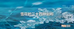 雪花的二十四种别称