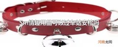sm情趣用品可以过车站安检吗