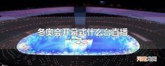 冬奥会开幕式什么台直播