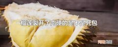 榴莲裂开了肉硬的是不是死包