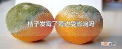 桔子发霉了旁边受影响吗