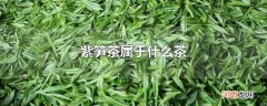 紫笋茶属于什么茶