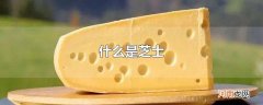 什么是芝士