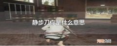静步刀你是什么意思