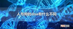 人与狗的dna有什么不同