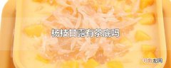杨枝甘露有茶底吗