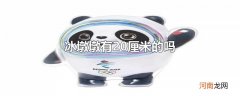 冰墩墩有20厘米的吗