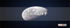 月亮长什么样子