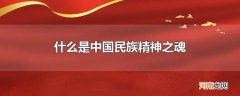什么是中国民族精神之魂