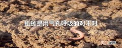 蚯蚓是用气孔呼吸的对不对