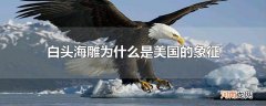 白头海雕为什么是美国的象征