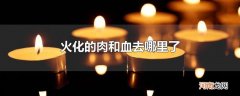 火化的肉和血去哪里了